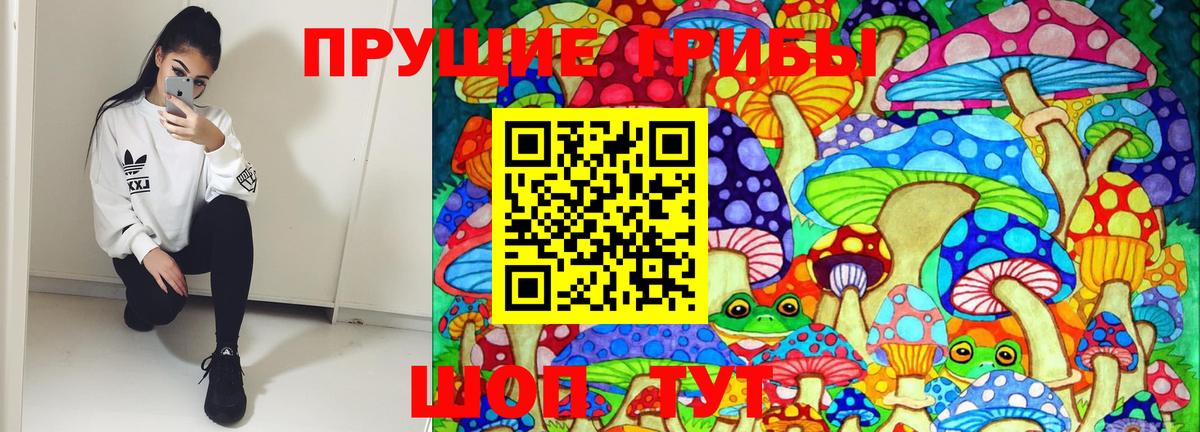 Галлюциногенные грибы мицелий Шадринск